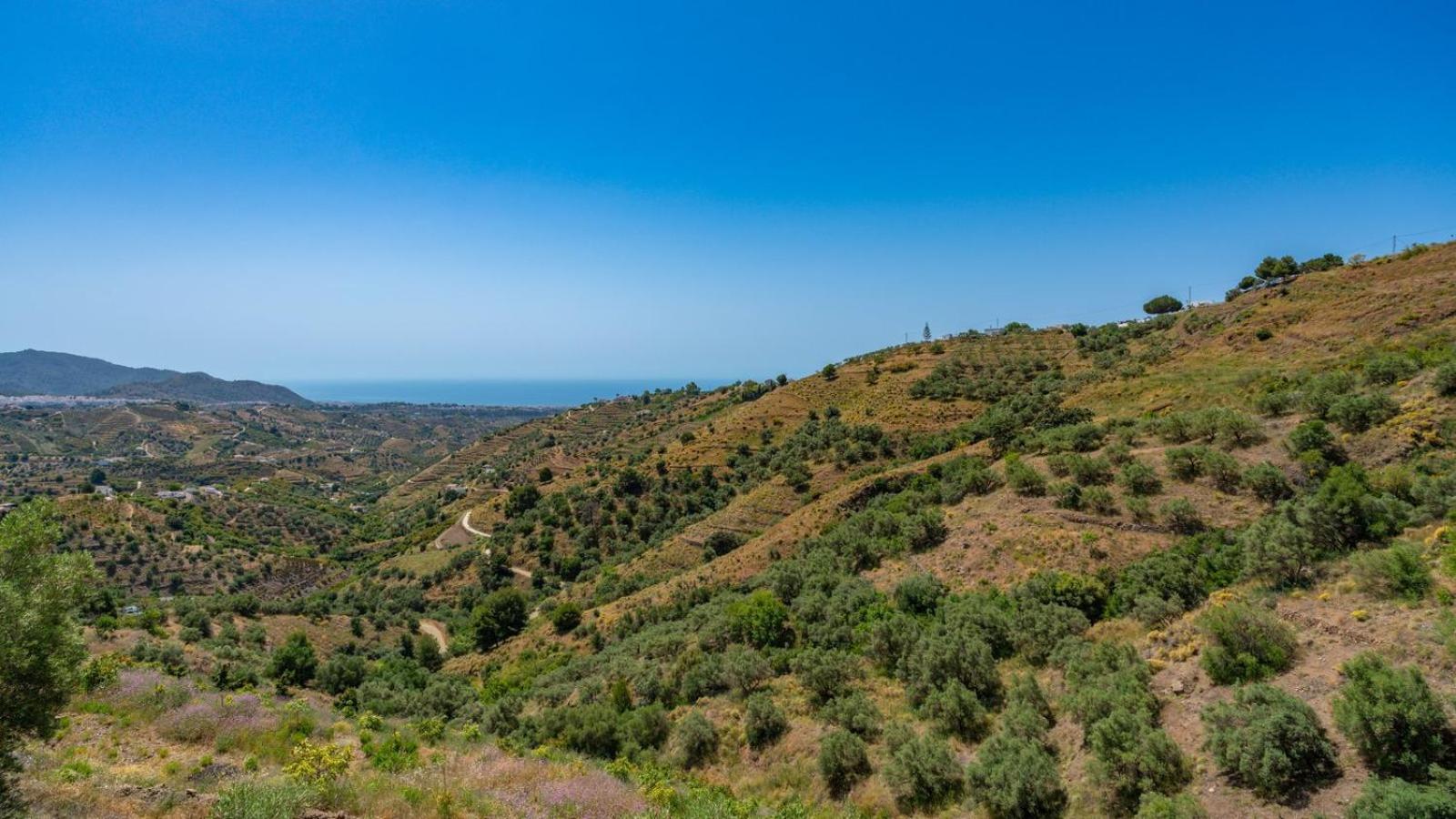 Cortijo El Mirador Frigiliana By Ruralidays Villa ภายนอก รูปภาพ
